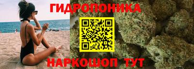индика Будённовск
