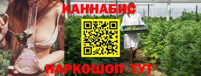 индика Будённовск