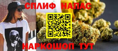 индика Будённовск