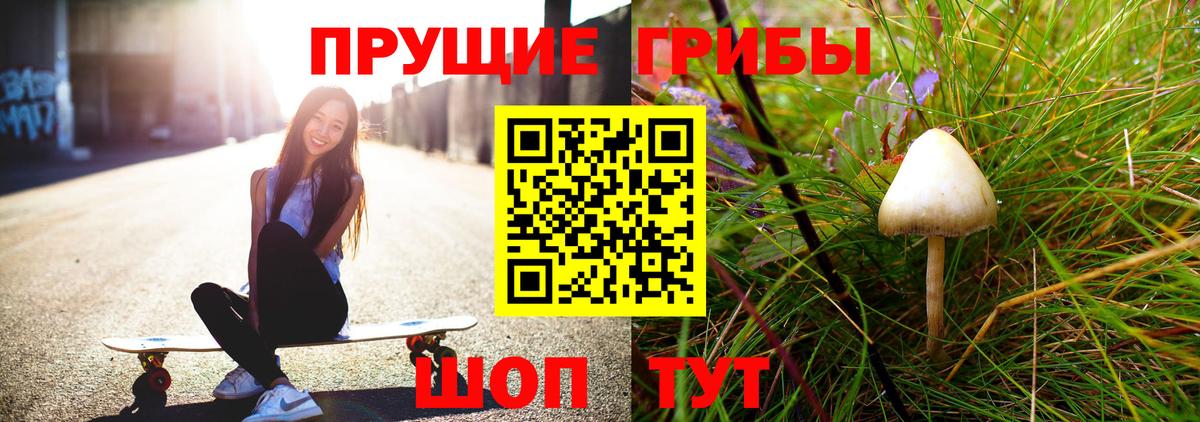 Галлюциногенные грибы мицелий  Вход с VPN  Псилоцибиновые грибы прущие грибы  Нерюнгри 